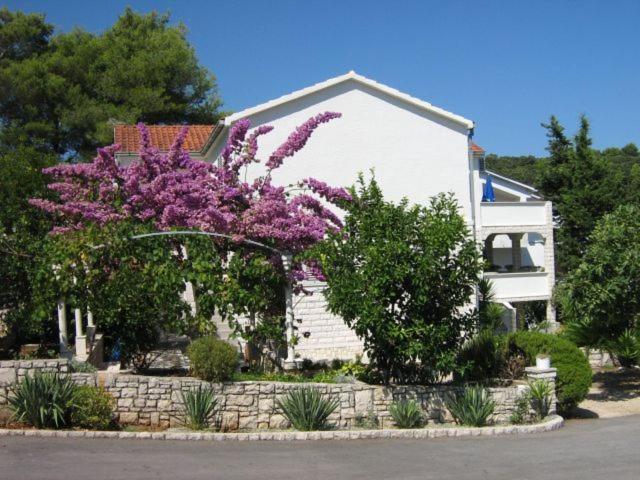 Apartments Sarah Medvinjak Exterior foto